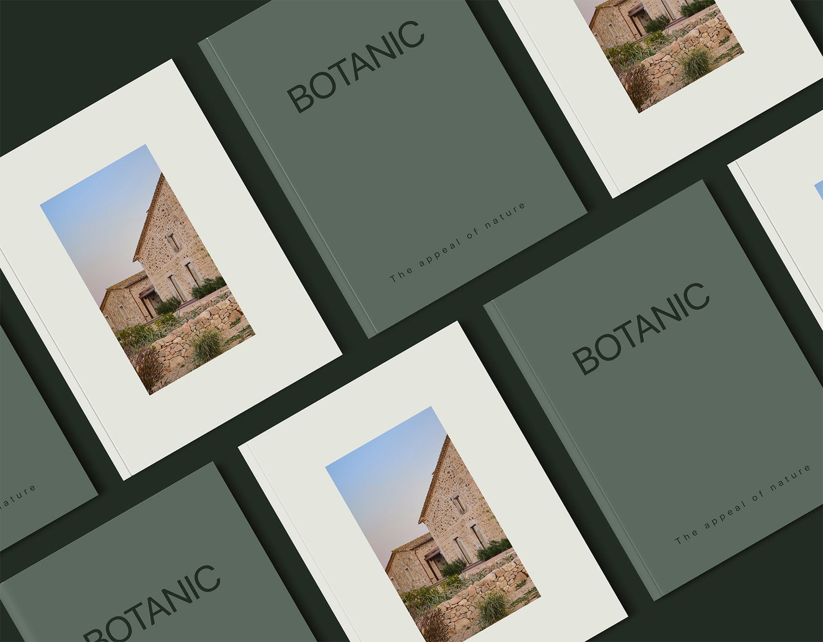 Read more about the article Botanic